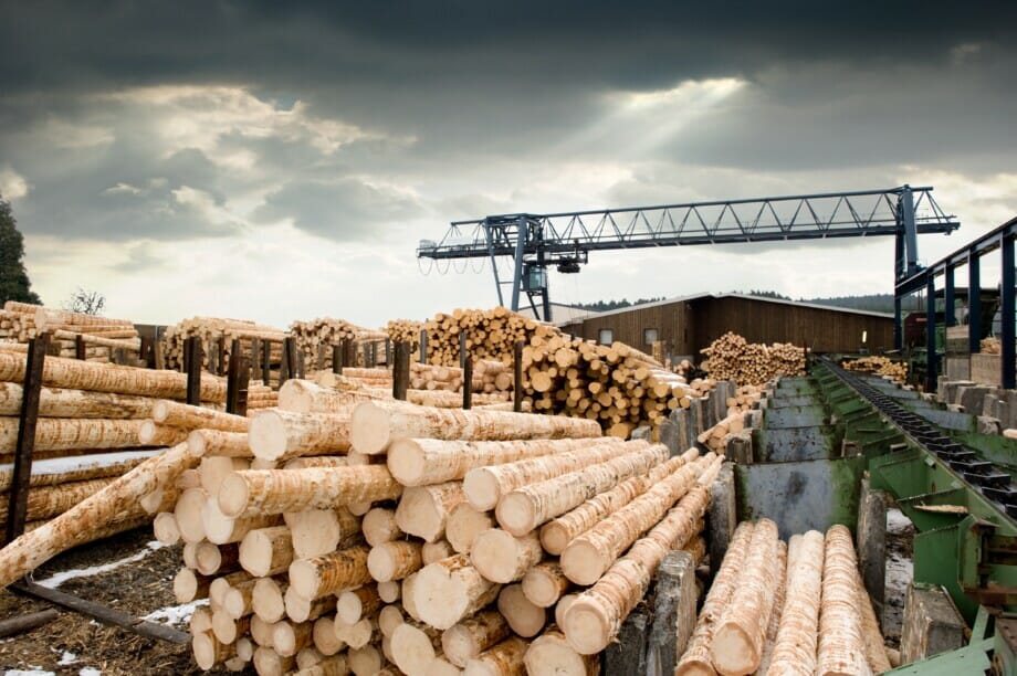 Holzindustrie setzt auf Automatisierung und 3D-Simulation